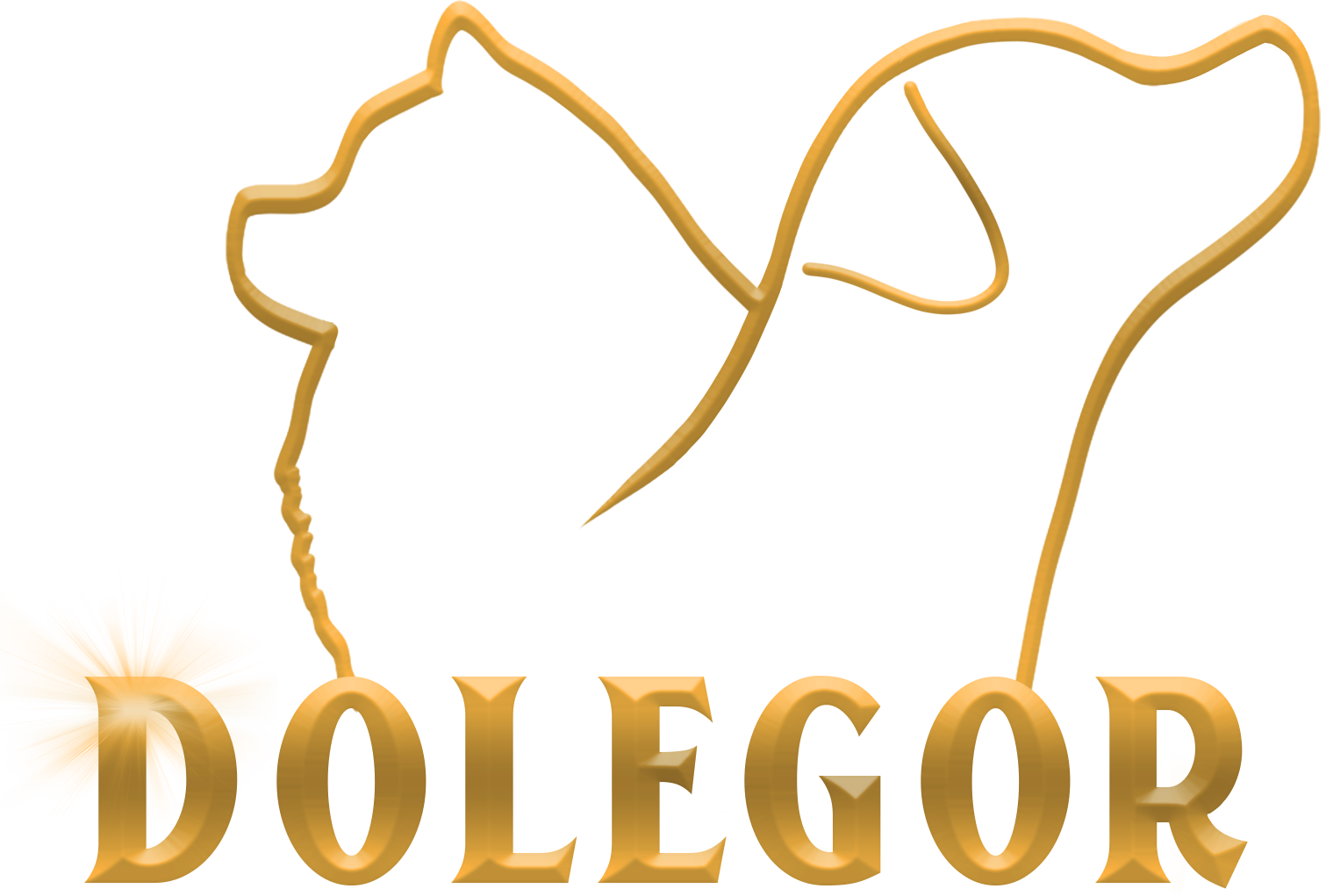 Dolegor