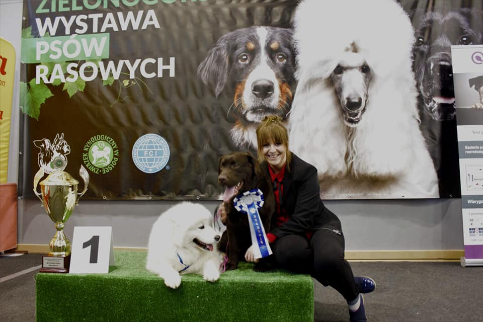 Krajowa Wystawa psów rasowych w Zielonej Górze  24.03.2019r.