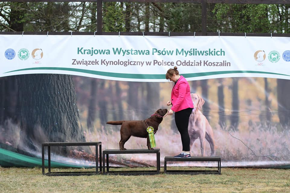 Czekoladowa miłość