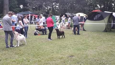 3 Czekoladowe Miłości 