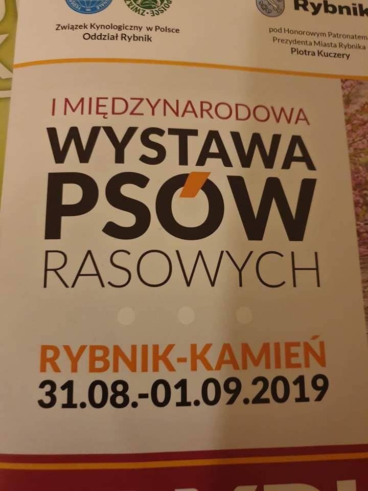 International Dog Show Rybnik (CACIB) 1.09.2019