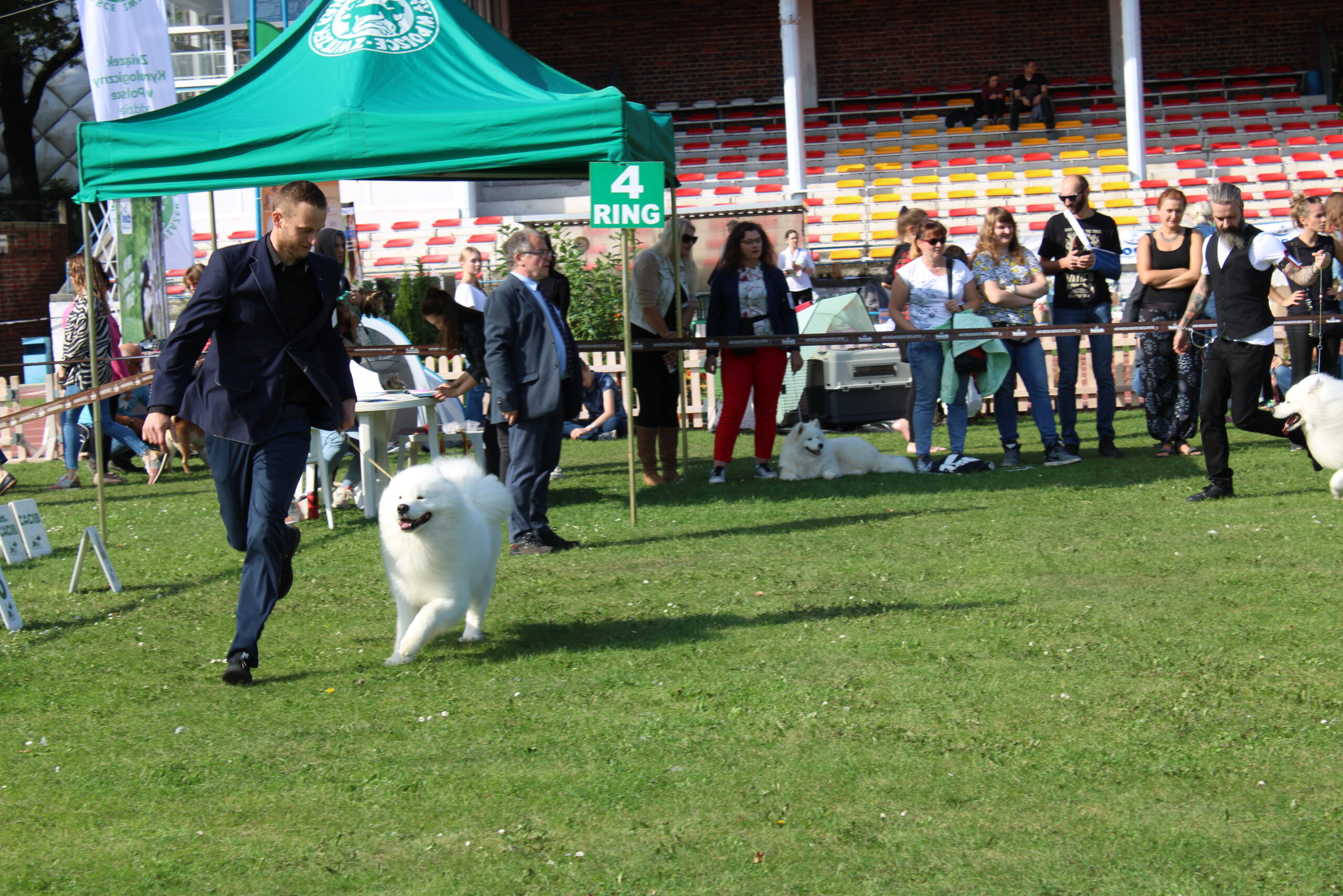 WROCŁAW XXVIII Międzynarodowa wystawa psów rasowych (CACIB)