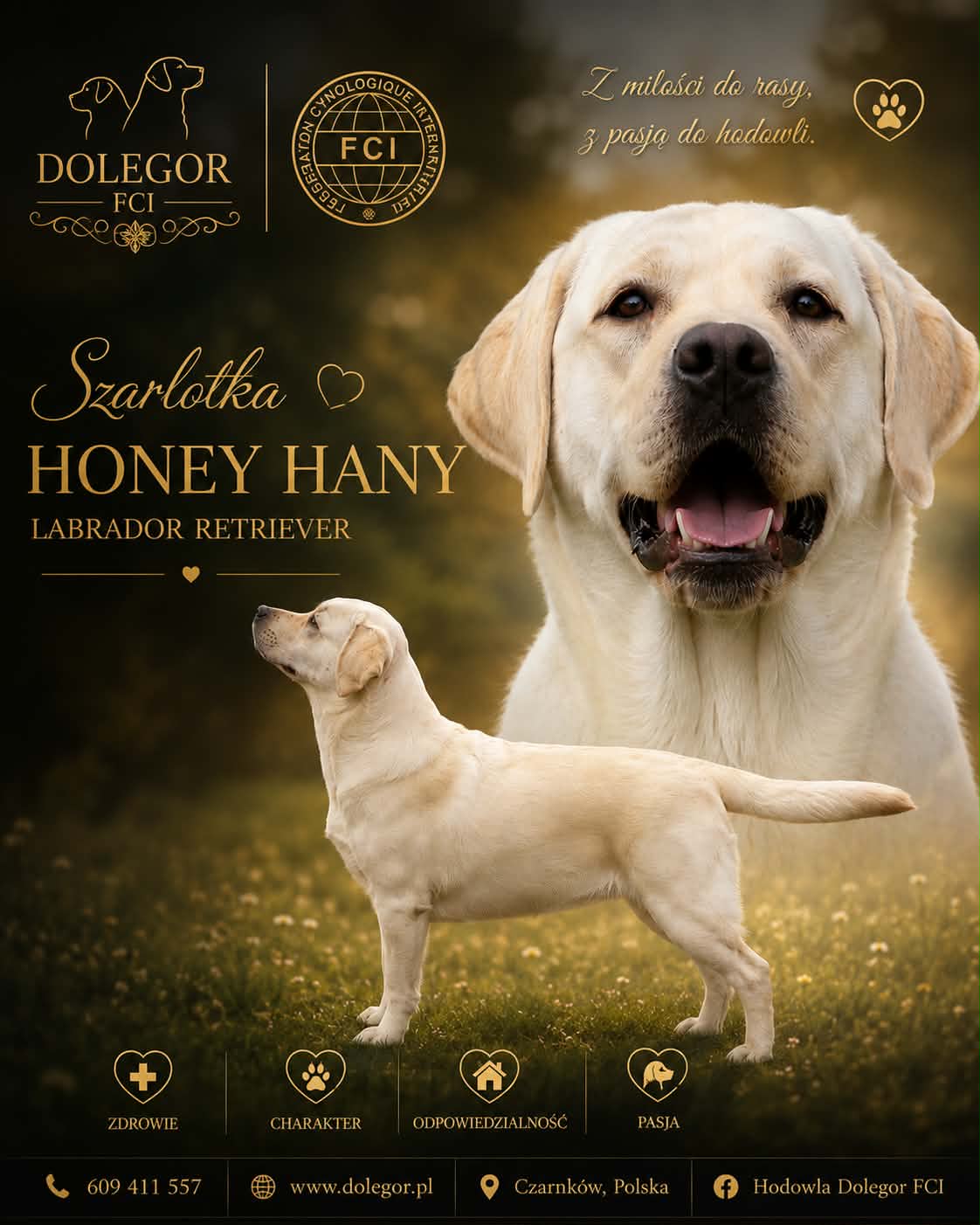 Szarlotka Honey Hany