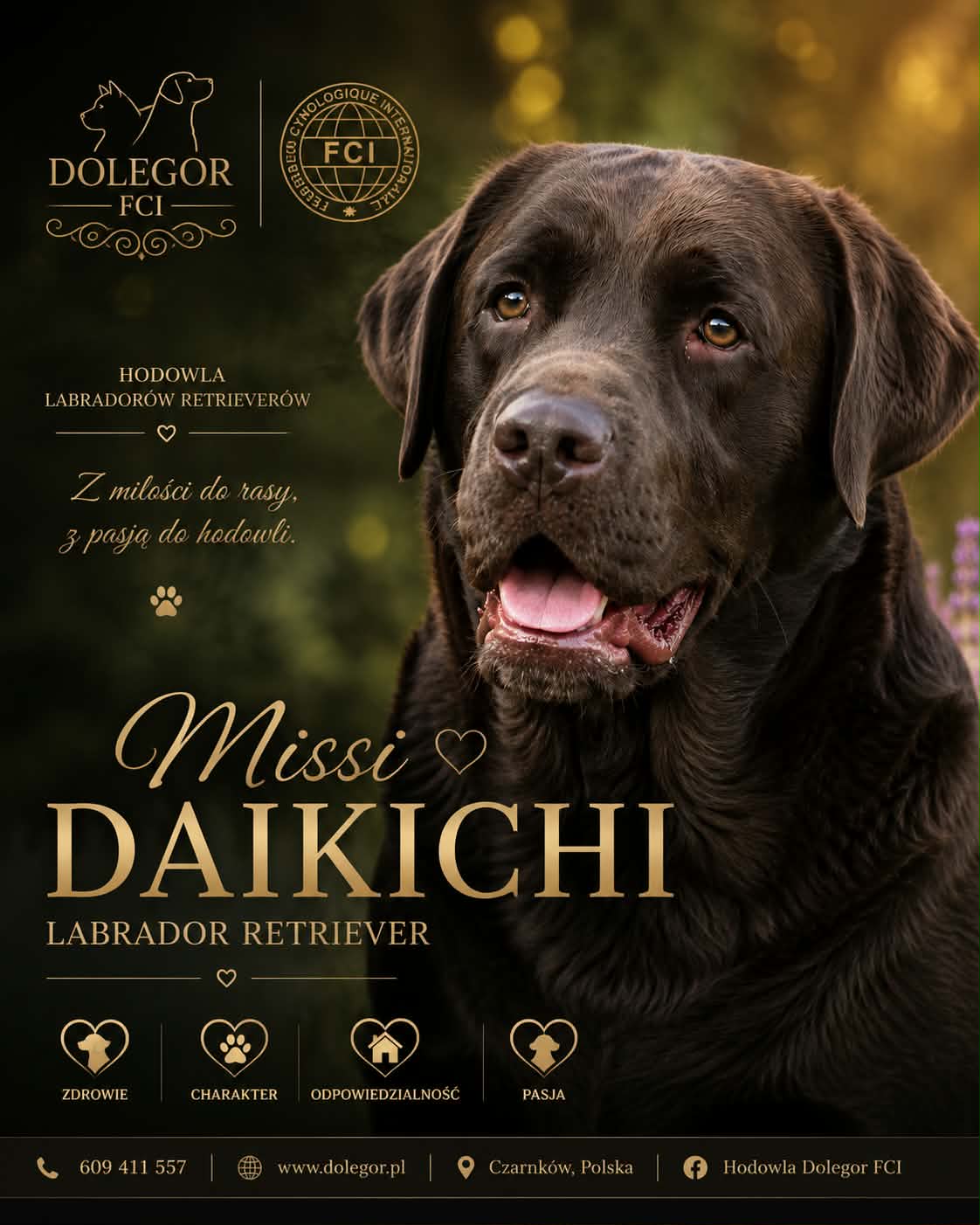 Missi Daikichi