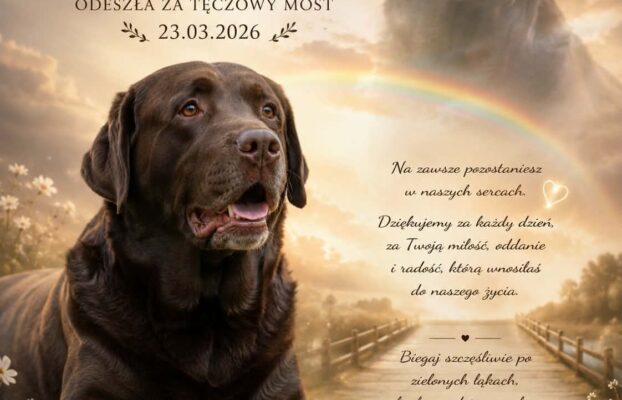 Love is Real Azgard… nasza Kiareczka. 🤍 tak Bardzo Tęsknie…..